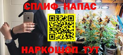 мдпв Гай
