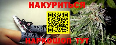 мдпв Гай