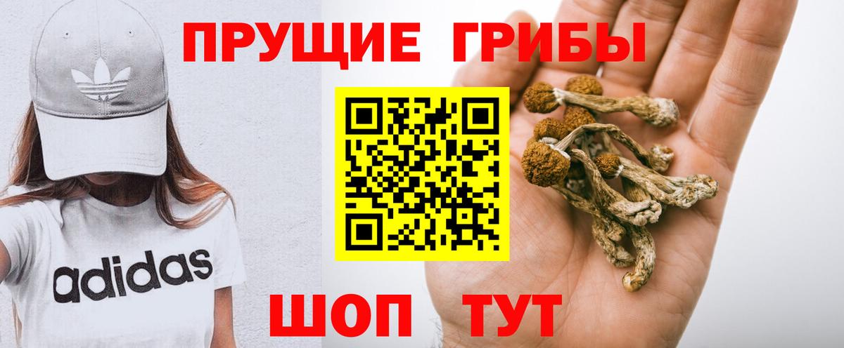 Псилоцибиновые грибы мухоморы Мурино